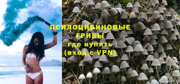 метадон Богданович