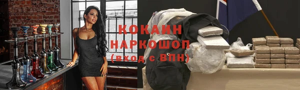 метадон Богданович