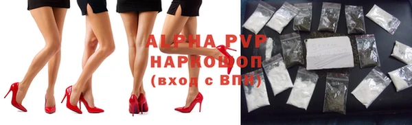 метадон Богданович