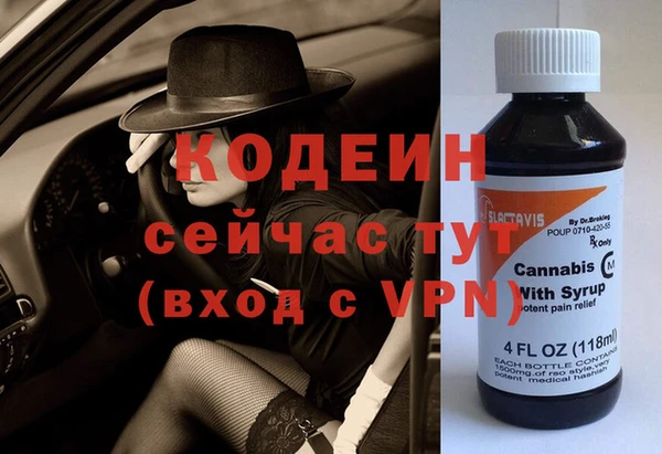 метадон Богданович