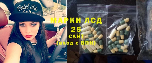 первитин Богородицк