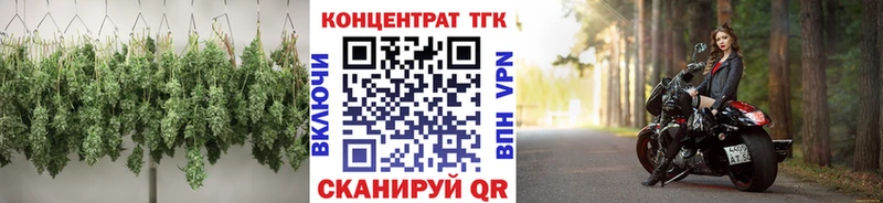 дарк нет Telegram  что такое   Павловск  Дистиллят ТГК Wax 